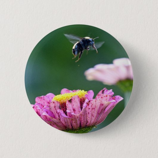 Vlieg van de Bumblebee Ronde Button 5,7 Cm (Voorkant)