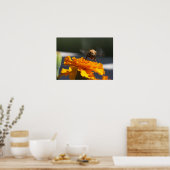 Vlieg van de Bumblecamel Poster (Keuken)