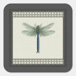 Vlieg van de Dragonfly Vierkante Sticker