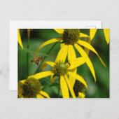 Vlieg van de honingbij briefkaart (Voorkant / Achterkant)