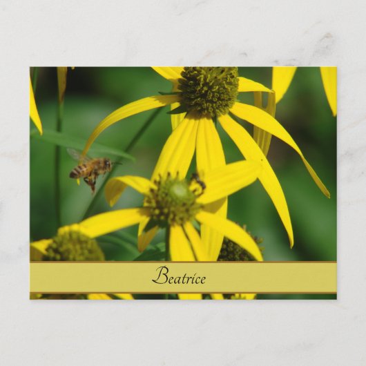 Vlieg van de honingbij briefkaart (Voorkant)