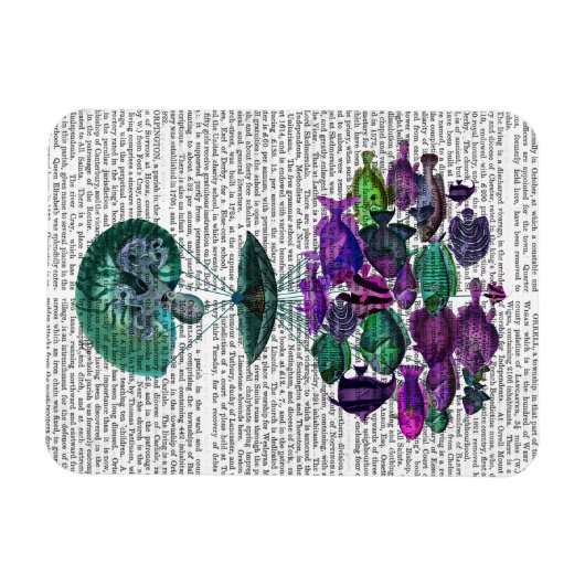 Vlieg van de luchtballon van de vis magneet (Horizontaal)