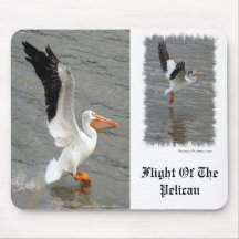 Vlieg van de Pelican