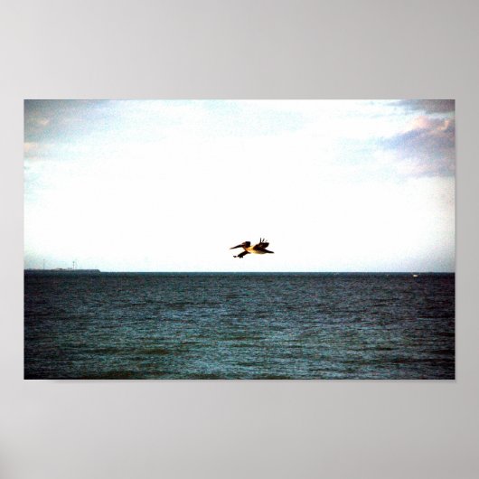 Vlieg van de Pelican Poster (Voorkant)