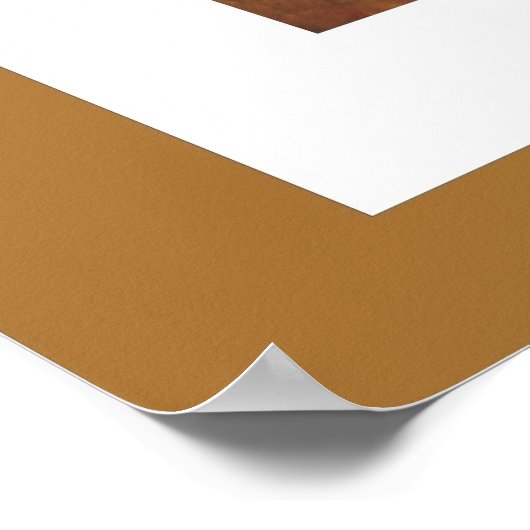 Vlieg van de sol poster (Hoek)