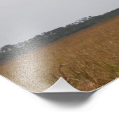 Vlieg van een Hout Stork Photo Print Wide Foto Afdruk (Hoek)