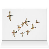 Vlieg van Mallards (Binnen Horizontaal (Boven))