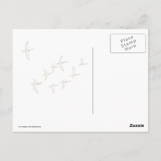 Vlieg van Mallards Briefkaart (Achterkant)