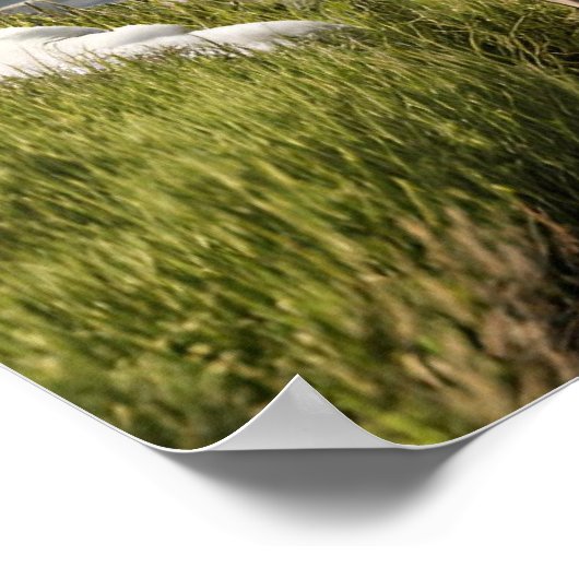 Vlieg Vissen Muur Art Print (Hoek)