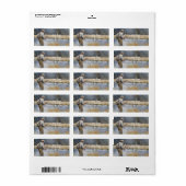 Vlieg Vissen op de rivier Adreslabel Etiket (Full Sheet)