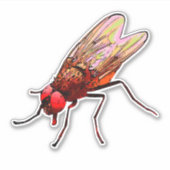 Vlieg wc sticker badkamer apparatuur voor pissoir (Voorkant)