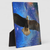 Vliegbalkadelaar en ruimtevernevelkunst fotoplaat (Zijkant)