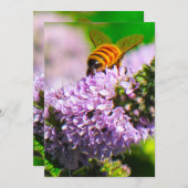 Vliegbiet 5 x 7 Uitdrukking/Wenskaart Bedankkaart (Voorkant / Achterkant)