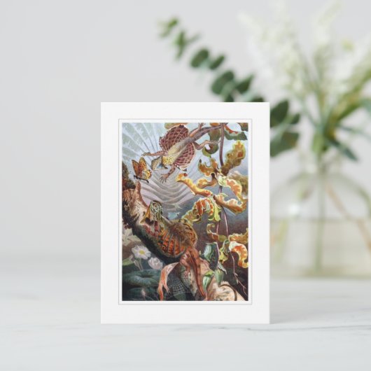 Vliegdraak Briefkaart (Staand voorkant)