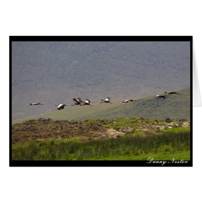 Vliegen (Voorkant Horizontaal)