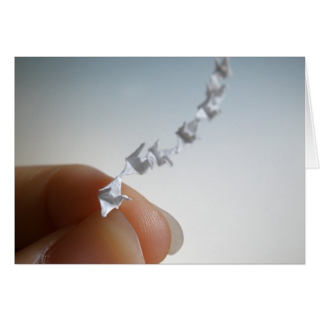 vliegen (Voorkant Horizontaal)