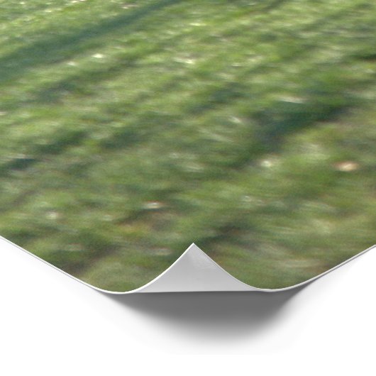 Vliegen bij varkens poster (Hoek)