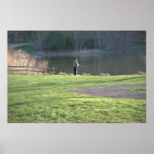 Vliegen bij varkens poster (Voorkant)