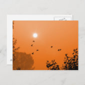 Vliegen bij zonsopgang Briefkaart (Voorkant / Achterkant)
