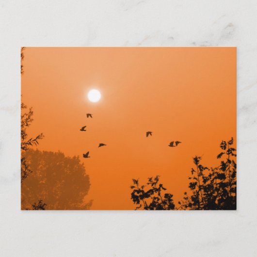 Vliegen bij zonsopgang Briefkaart (Voorkant)
