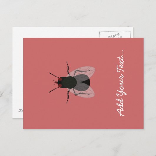 vliegen briefkaart (Voorkant / Achterkant)