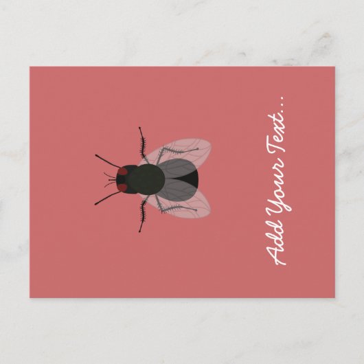 vliegen briefkaart (Voorkant)