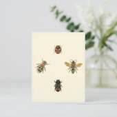 Vliegen en Beetles van Vision Studio Briefkaart (Staand voorkant)