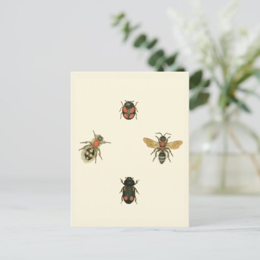 Vliegen en Beetles van Vision Studio Briefkaart (Staand voorkant)