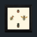Vliegen en Beetles van Visual Studio Cadeaudoosje<br><div class="desc">Deze Vision Studio-afdruk kan alleen maar voor de insectenliefhebbers zijn! De vliegen en kevers komen samen op een crèmeachtergrond,  omgeven door een zwarte grens. Als je in entomologie zit,  of iemand kent die dat is,  dan is dit een geweldig stuk!</div>