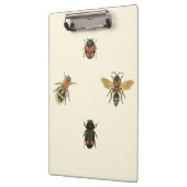 Vliegen en Beetles van Visual Studio Klembord (Links)