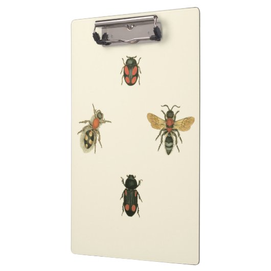 Vliegen en Beetles van Visual Studio Klembord (Links)