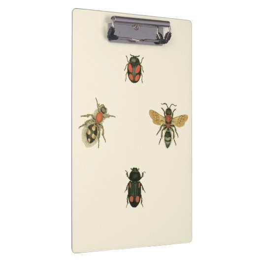 Vliegen en Beetles van Visual Studio Klembord (Rechts)