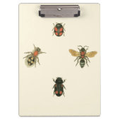 Vliegen en Beetles van Visual Studio Klembord (Voorkant)