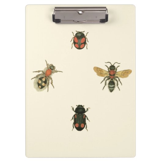 Vliegen en Beetles van Visual Studio Klembord (Voorkant)