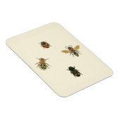 Vliegen en Beetles van Visual Studio Magneet (Rechterzijde)