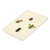 Vliegen en Beetles van Visual Studio Magneet (Linkerzijde)