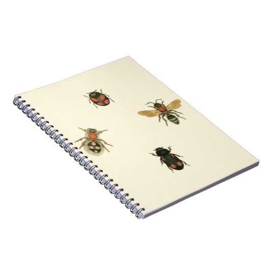 Vliegen en Beetles van Visual Studio Notitieboek (Rechterzijde)