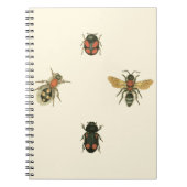 Vliegen en Beetles van Visual Studio Notitieboek (Voorkant)