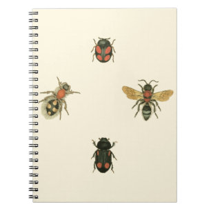 Vliegen en Beetles van Visual Studio Notitieboek