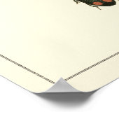 Vliegen en Beetles van Visual Studio Poster (Hoek)