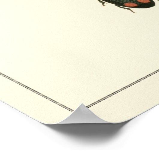 Vliegen en Beetles van Visual Studio Poster (Hoek)