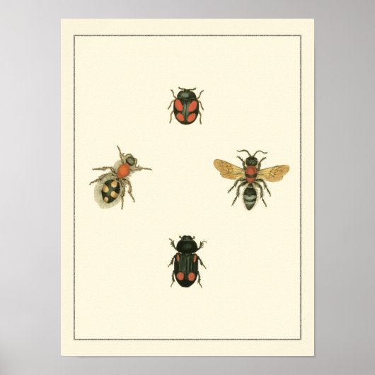 Vliegen en Beetles van Visual Studio Poster (Voorkant)