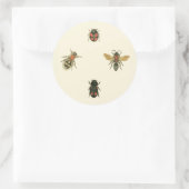 Vliegen en Beetles van Visual Studio Ronde Sticker (Tas)