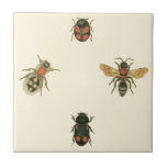 Vliegen en Beetles van Visual Studio Tegeltje<br><div class="desc">Deze Vision Studio-afdruk kan alleen maar voor de insectenliefhebbers zijn! De vliegen en kevers komen samen op een crèmeachtergrond,  omgeven door een zwarte grens. Als je in entomologie zit,  of iemand kent die dat is,  dan is dit een geweldig stuk!</div>