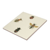 Vliegen en Beetles van Visual Studio Tegeltje (Zijkant)