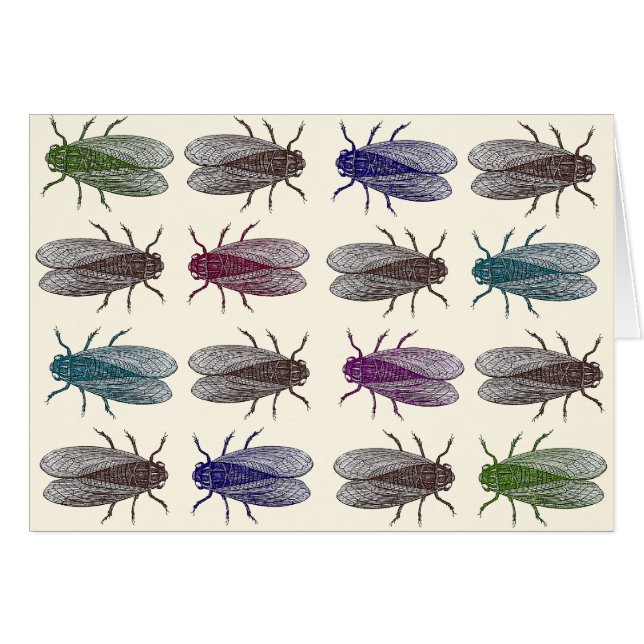 vliegen/fruitvliegen van Diderot's Encyclopedia (Voorkant Horizontaal)