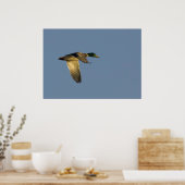 vliegen in de open lucht in poster (Keuken)