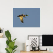 vliegen in de open lucht in poster (Thuiskantoor)