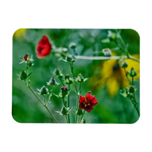Vliegen in de tuin magneet
