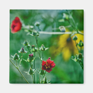 Vliegen in de tuin magneet